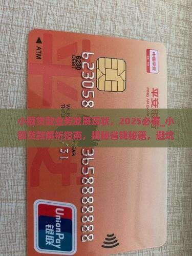 小额贷款业务发展现状