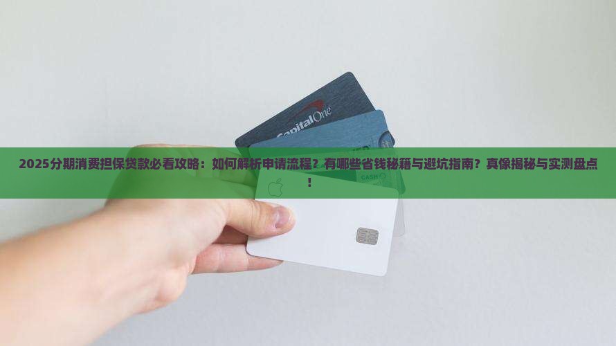 分期消费担保贷款
