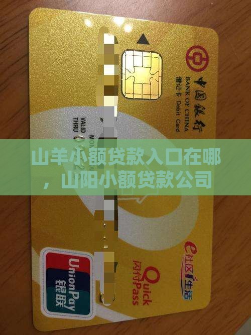山羊小额贷款
