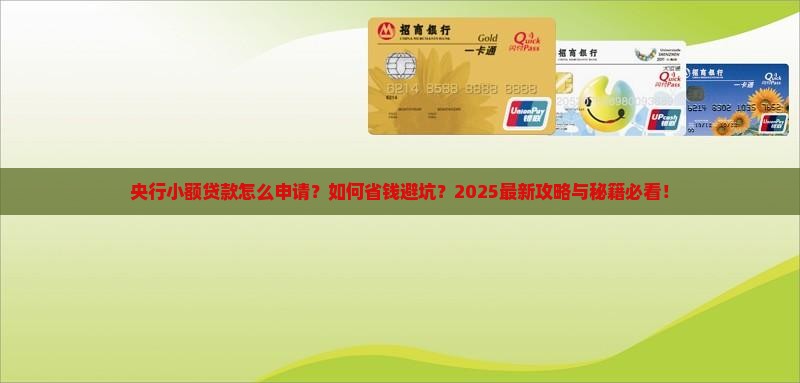 央行小额贷款