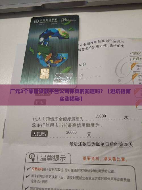 广元哪里有贷款平台公司