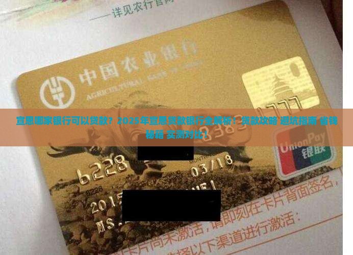 宣恩那家银行可以贷款
