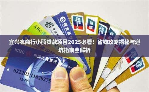 宜兴农商行小额贷款项目
