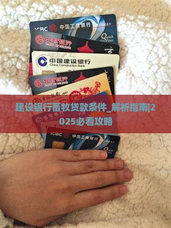 建设银行畜牧贷款条件