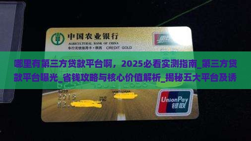 哪里有第三方贷款平台啊