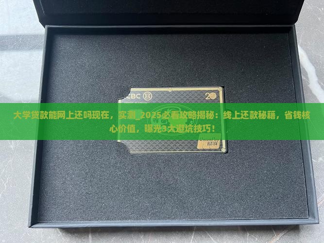 大学贷款能网上还吗现在