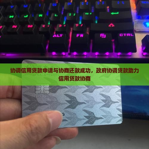 协调信用贷款
