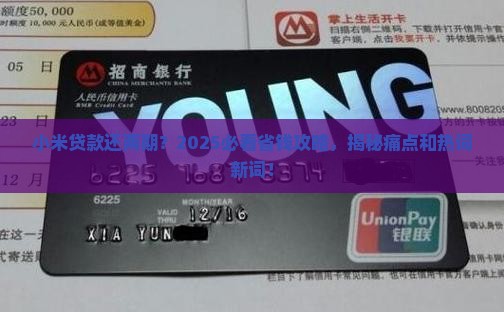 小米贷款还两期