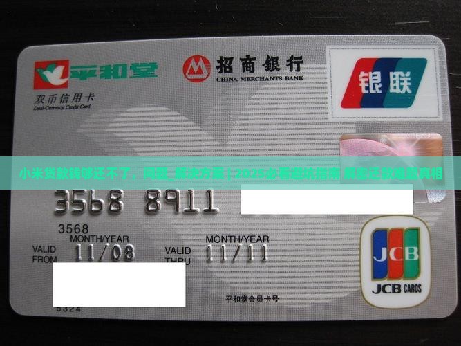 小米贷款钱够还不了