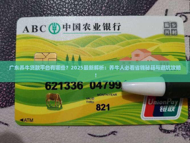 广东养牛贷款平台有哪些