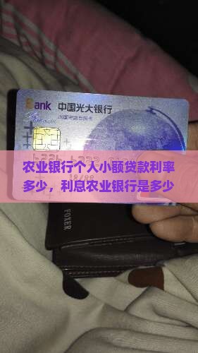 农行无抵押小额贷款利息