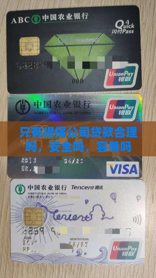 只有担保公司贷款合理吗