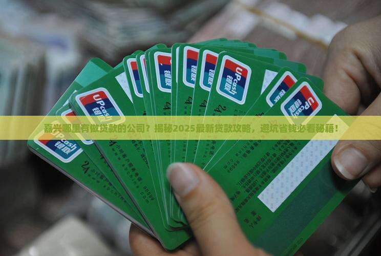 嘉兴哪里有做贷款的公司