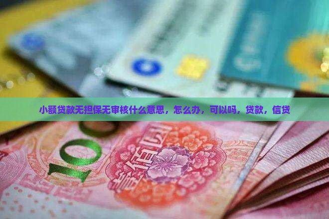 小额贷款无担保无审核