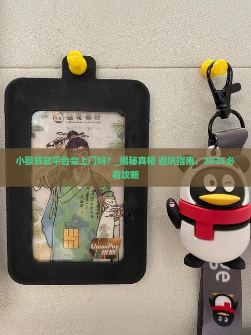 小额贷款平台会上门吗