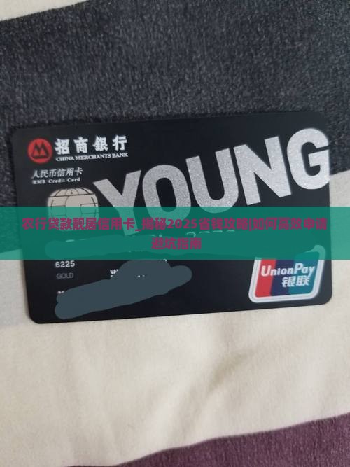 农行贷款靓居信用卡