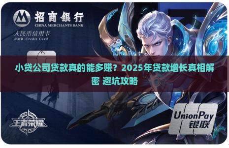 小贷公司贷款增加多少