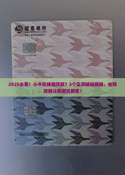 小牛在线能贷款