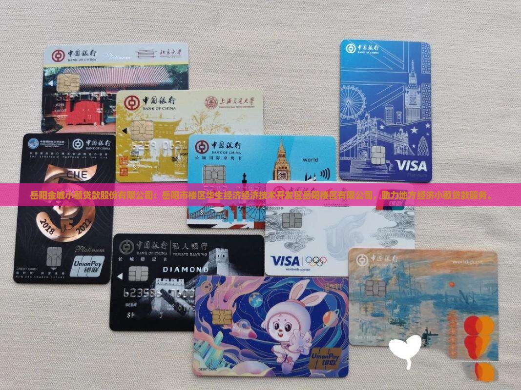 岳阳金城小额贷款