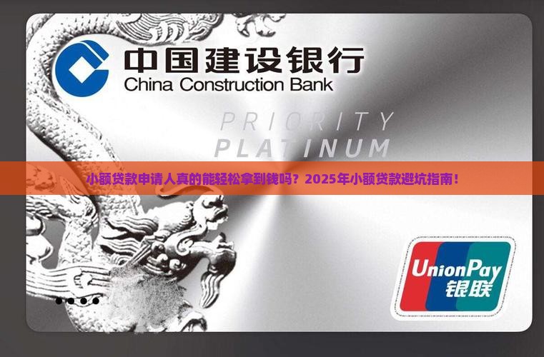 小额贷款申请人