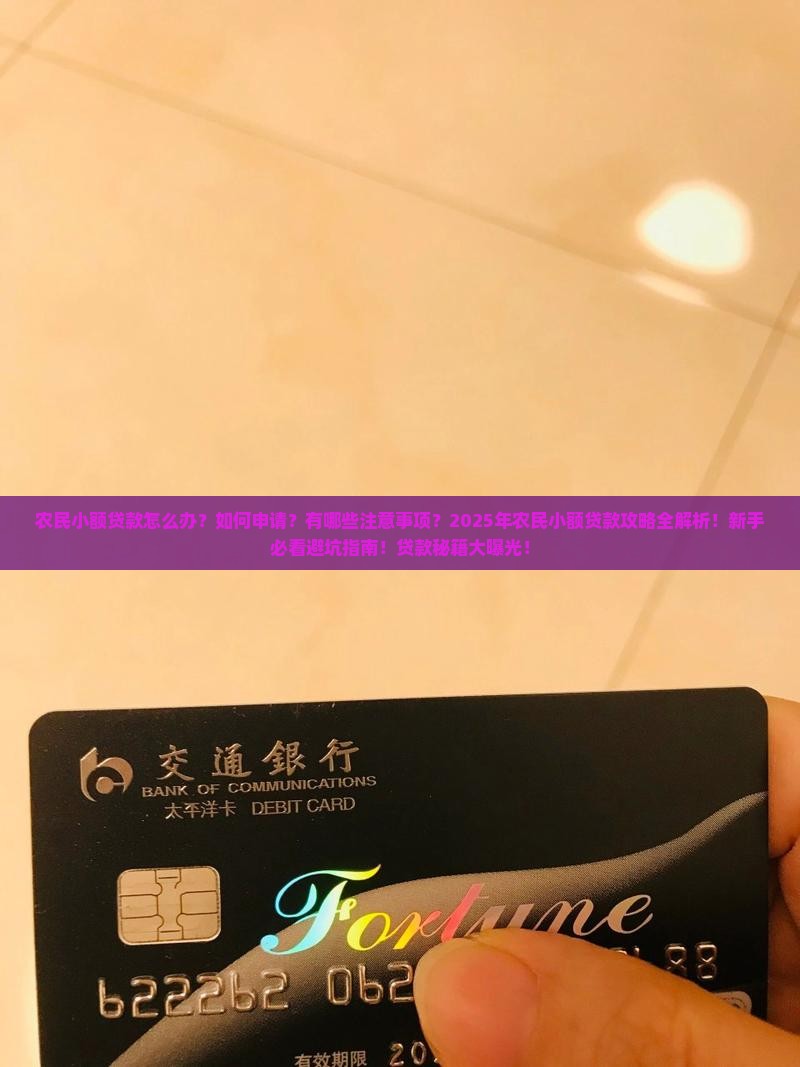 农民小额贷款怎么办