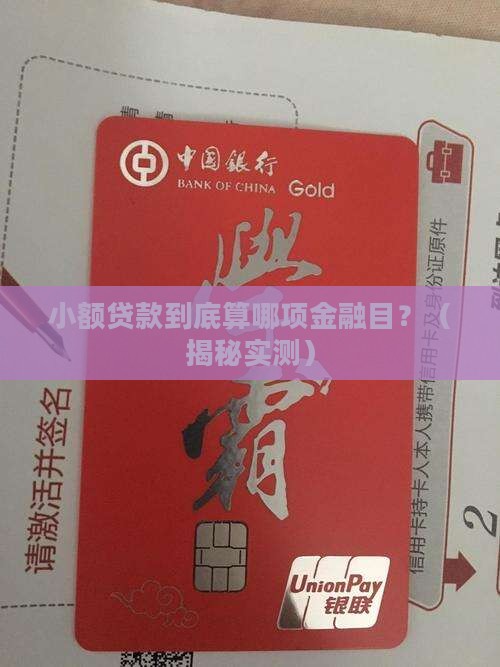 小额贷款算哪项金融目