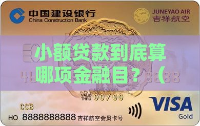 小额贷款算哪项金融目