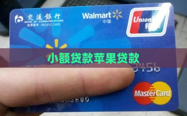 小额贷款id