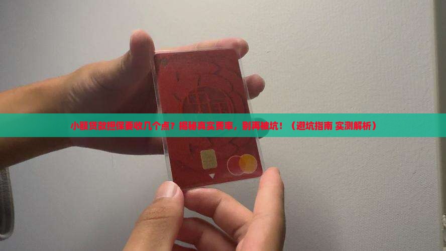小额贷款担保几个点