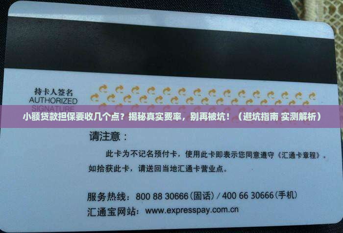 小额贷款担保几个点