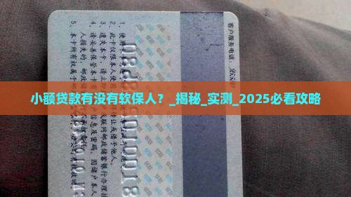 小额贷款有没有软保人