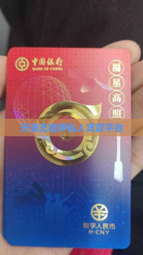 天津无抵押私人贷款平台
