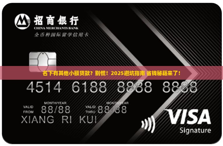 名下有其他小额贷款