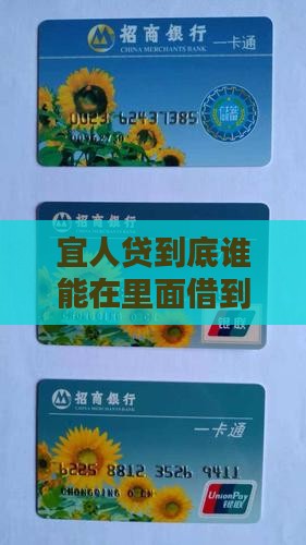 宜人贷贷款对象