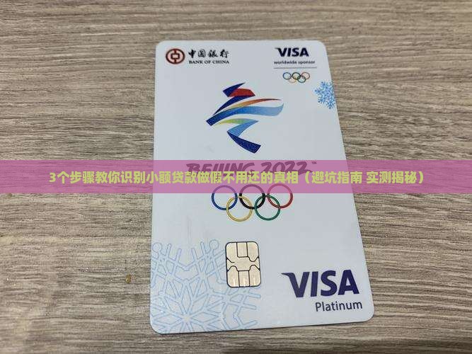小额贷款做假不用还