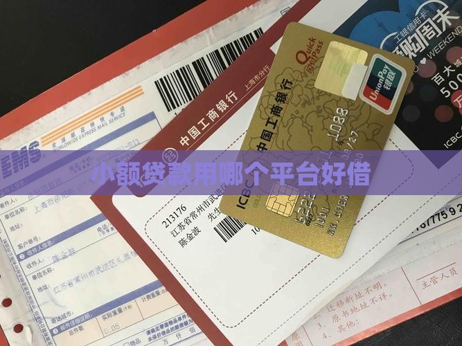小额贷款用哪个平台好借