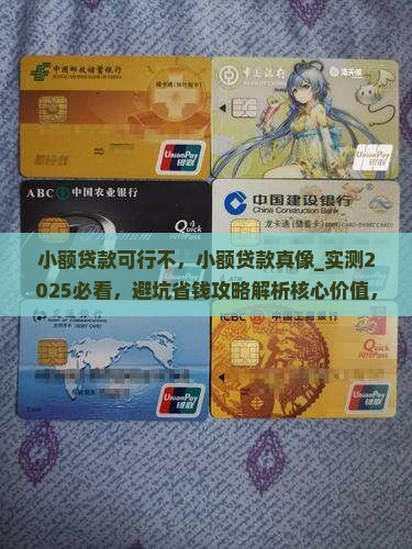 小额贷款可行不