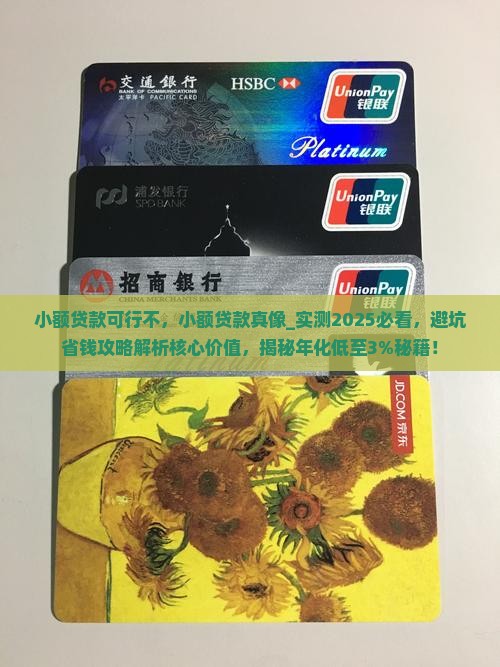 小额贷款可行不