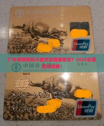广东粤财网联小额贷款是什么app