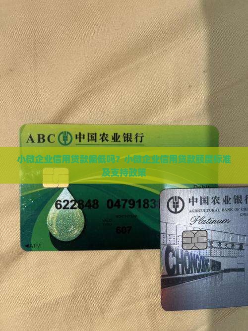 小微企业信用贷款偏低吗