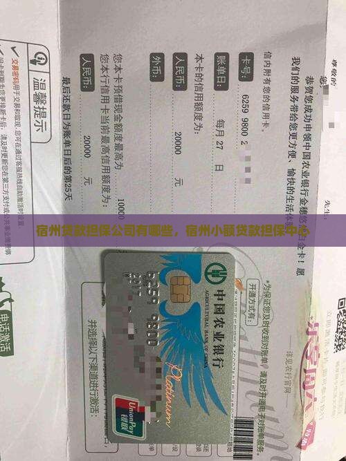 宿州贷款担保公司有哪些