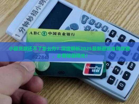 小额贷款还不了如何处理