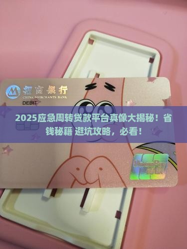 应急周转贷款平台