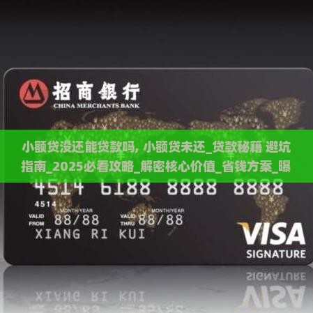 小额贷没还能贷款吗