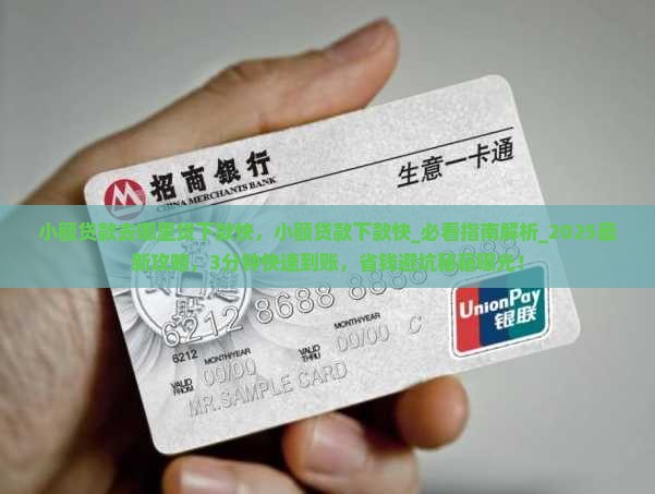 小额贷款去哪里贷下款快