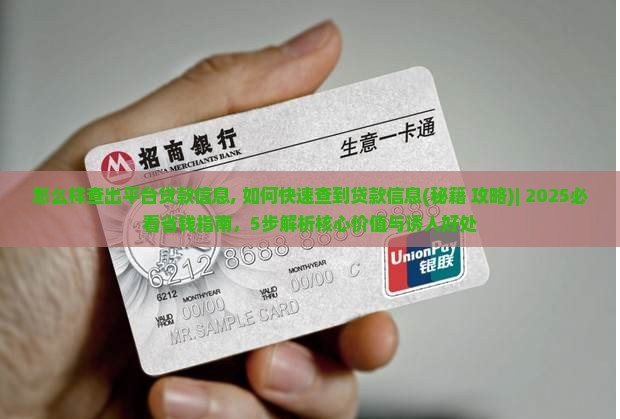 怎么样查出平台贷款信息