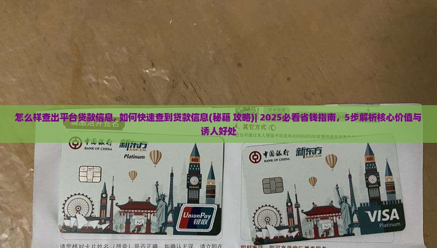 怎么样查出平台贷款信息