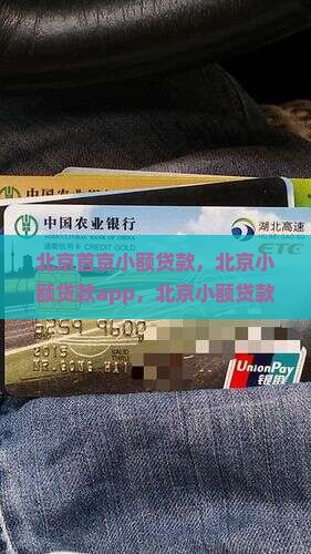 北京首京小额贷款