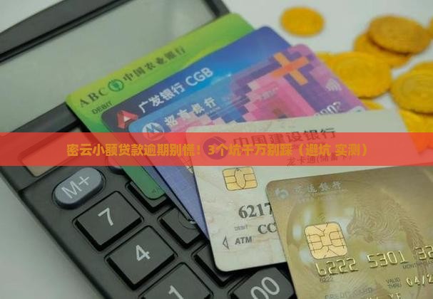 密云小额贷款逾期咨询