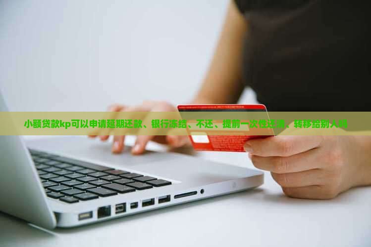 小额贷款kp 小额贷款kp